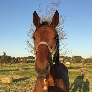 Meet your Posher, Georgia